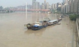 重庆洪水最新爆料新闻,城区告急，全力抗洪救灾进行时