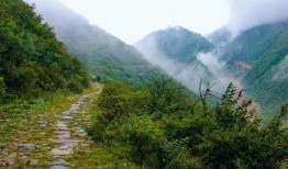 古道奇迹最新爆料,揭秘神秘遗迹背后的惊天秘密