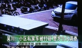 吴川业主爆料最新消息,最新小区动态及业主维权进展全解析