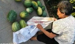 砀山吃瓜最新事件爆料,最新爆料揭示惊人内幕