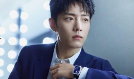 肖战代言人最新爆料,揭秘神秘爆料背后的精彩故事