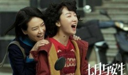 最新爆料电视剧免费观看,最新爆料，免费观看电视剧大放送！