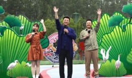 长春阿诚爆料事件视频最新,真相揭露与网络舆论风暴